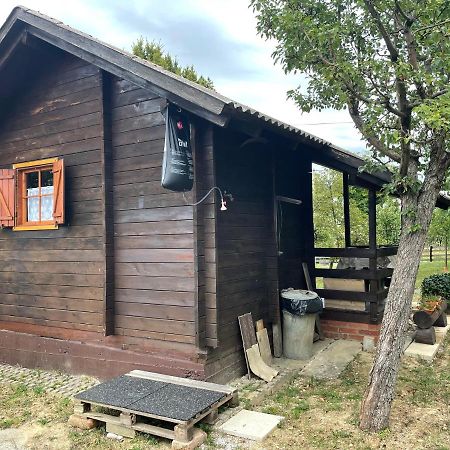 Ljetni Bungalov Kaniza Villa Zagreb Exterior photo